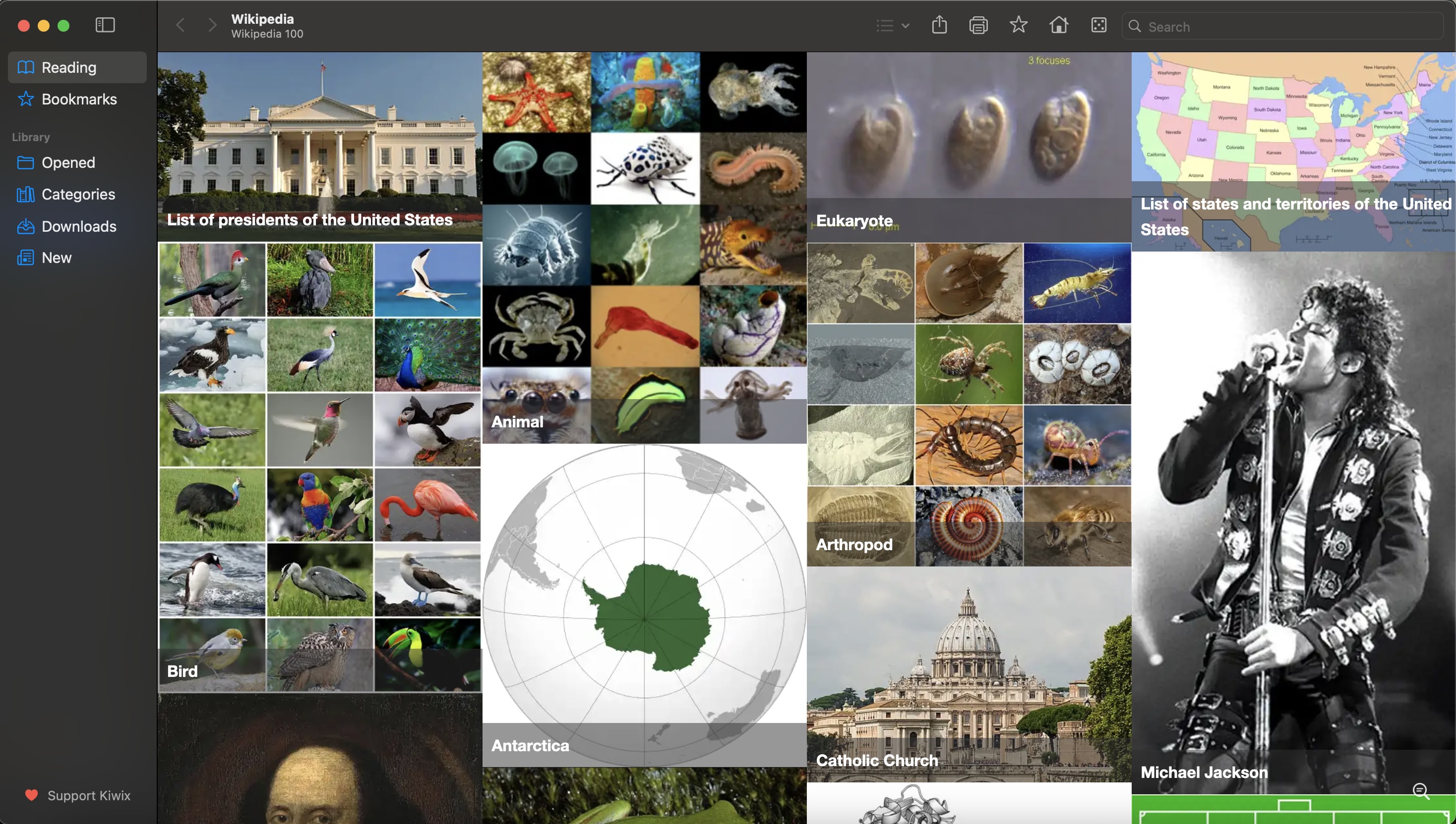 Kiwix library viewer